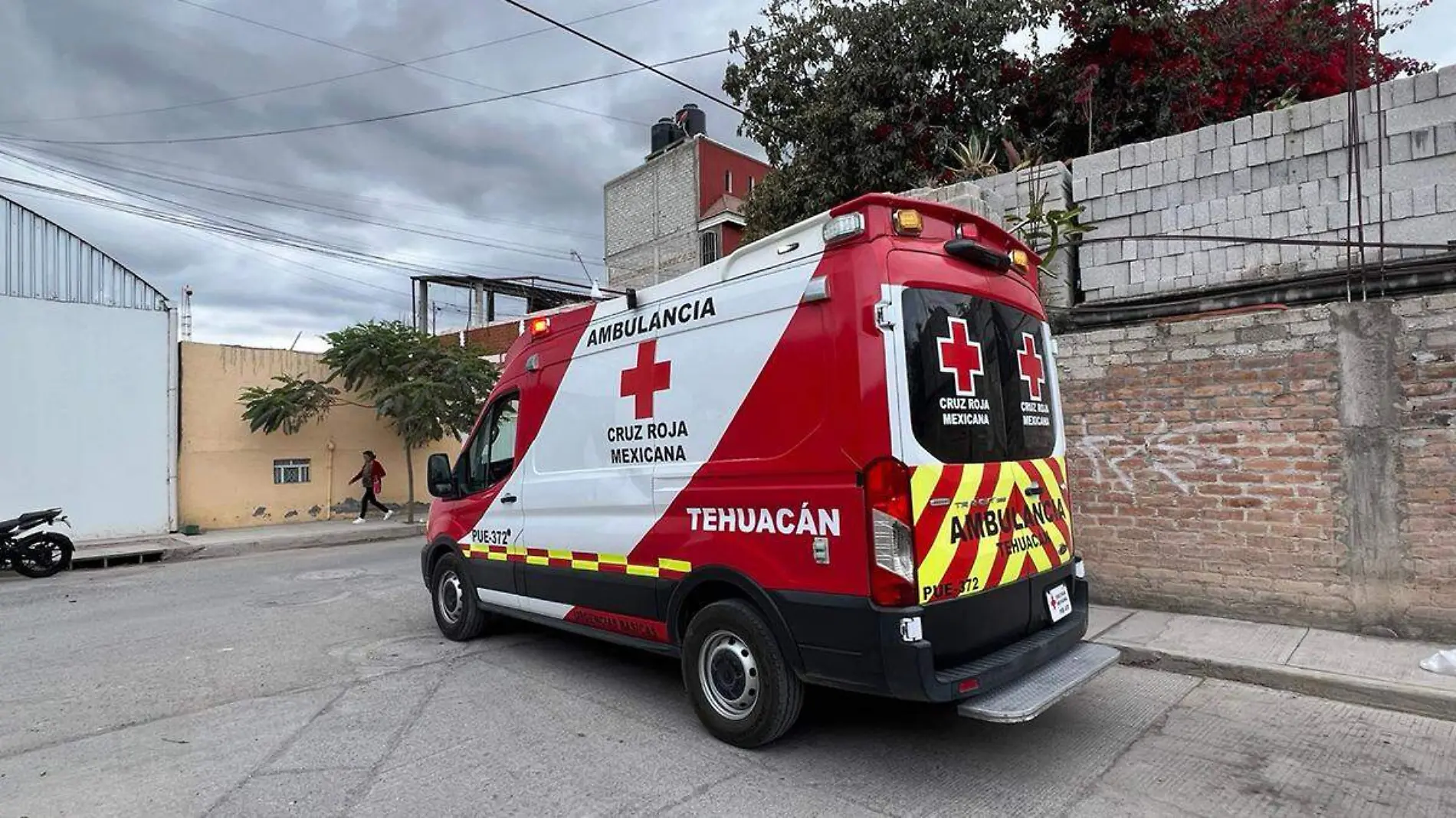 ATACADA POR PERRO TEHUACAN GOG